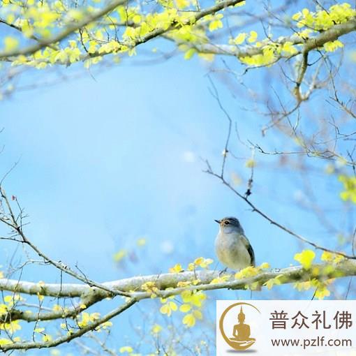 不能分心太多
