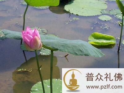 下手易而成功高，用力少而得效速