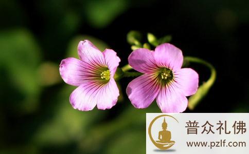 从容生活，莫把心思寄托于别人的一言一行而自寻烦恼