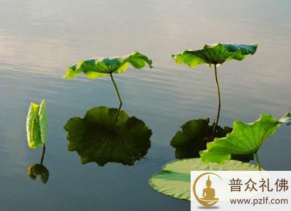 一个人素质的优劣,只看这一点