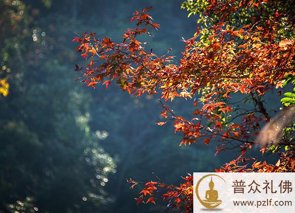什么可以帮助我们远离痛苦烦恼?