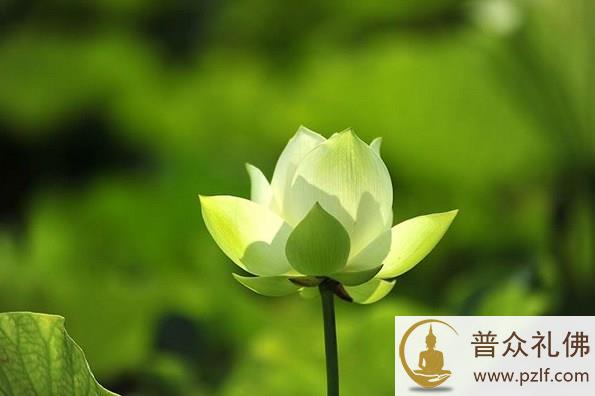 令师神通超人，平时是否教你们神通