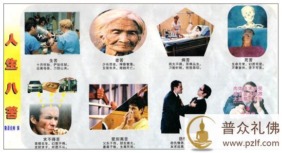人生八苦