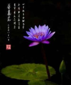 佛教的见地与修道·第二节