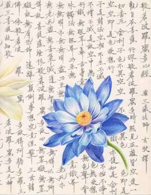 不贪银块