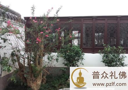 乐清南怀瑾老师故居揭牌开放