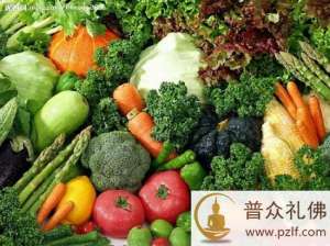 中西医的素食营养观