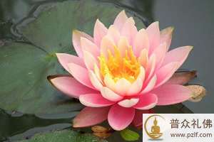 一室太和真富贵，满门春色大荣