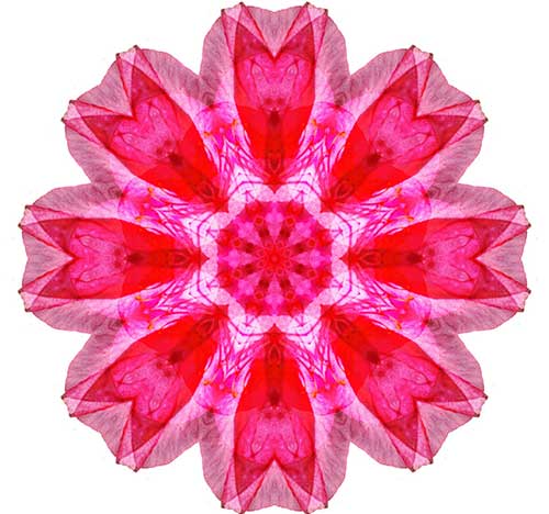 \