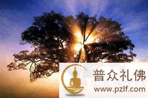 不要让佛法的智慧之光擦肩而过.jpg