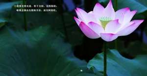 佛教的基本教理