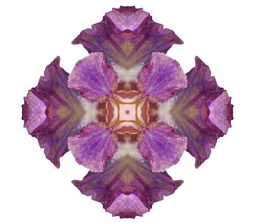 \