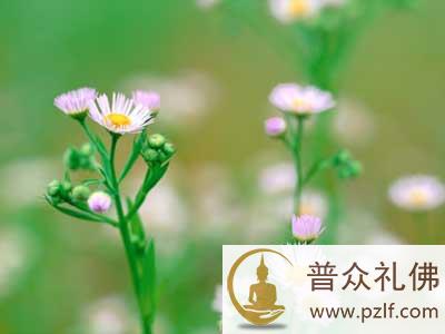 何必为一些小事烦恼