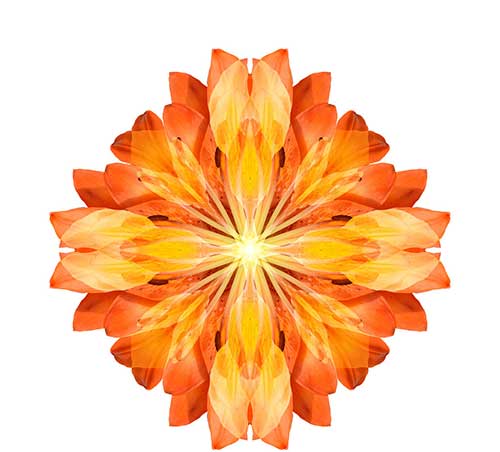 \