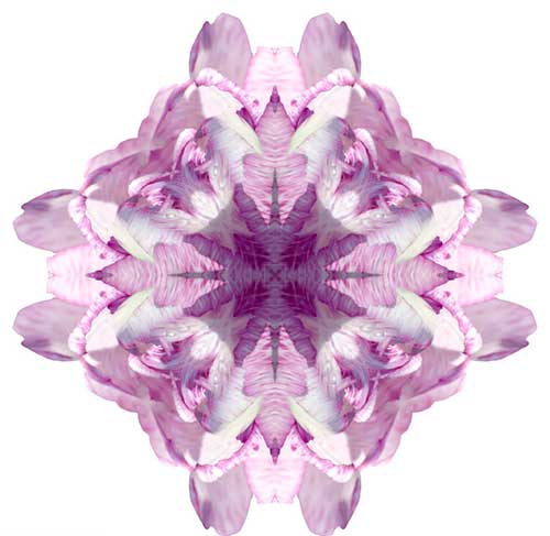 \