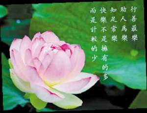不倒单？不捣蛋！护持正法应如