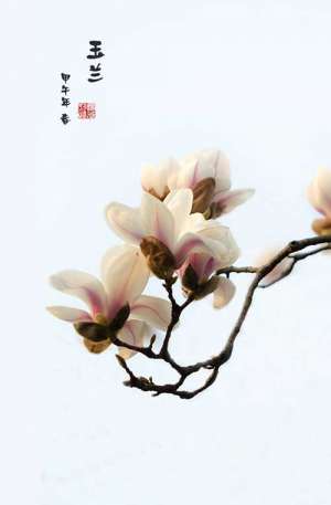 佛教故事：比丘尼优波鞠多 用