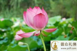 不要只讲「空」，还要把「有」