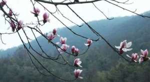 佛经：指点人生的四句话