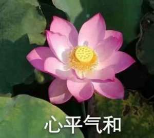 佛学常见词汇-十三画（1）
