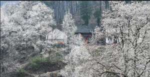 业力