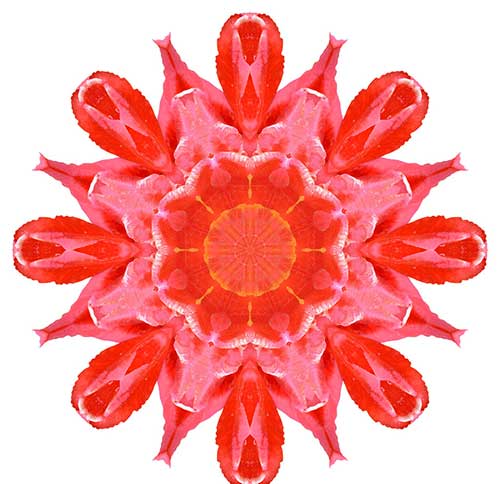 \