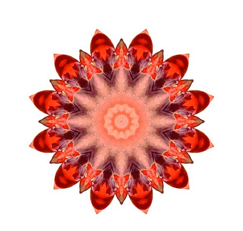 \