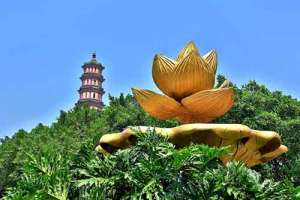 不能不知的事师礼仪