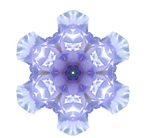 \