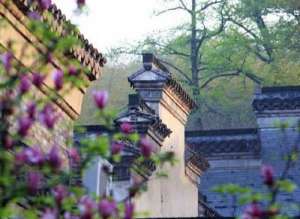 三十一祖