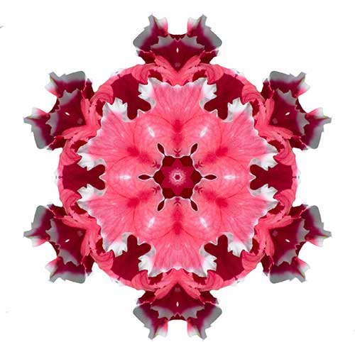 \