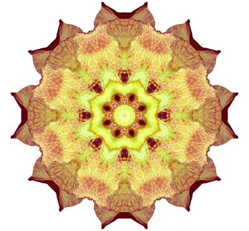 \